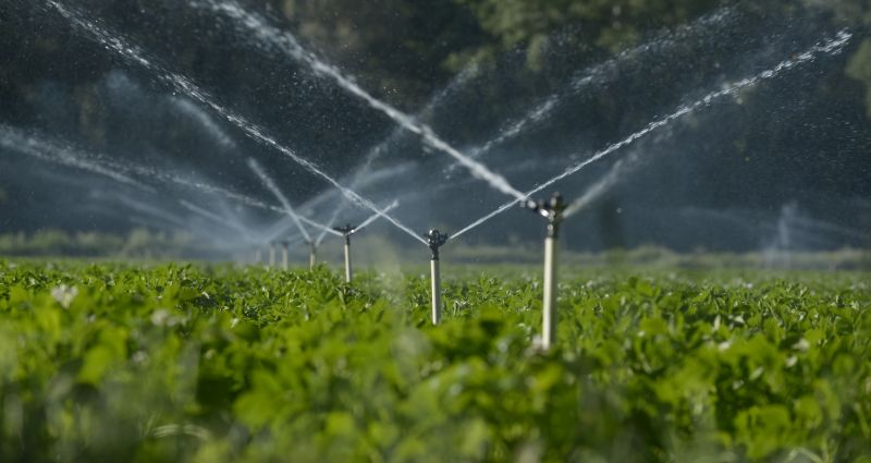 Irrigation Service in Ventura County, CA