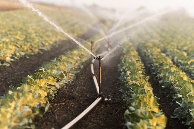 Watering System Installation in Honolulu, HI