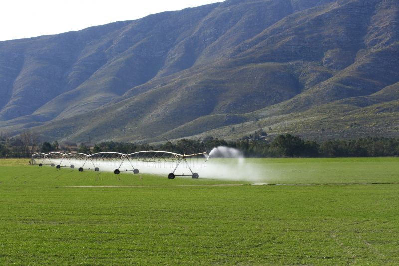 Crop Irrigation Installation in Aiken, SC
