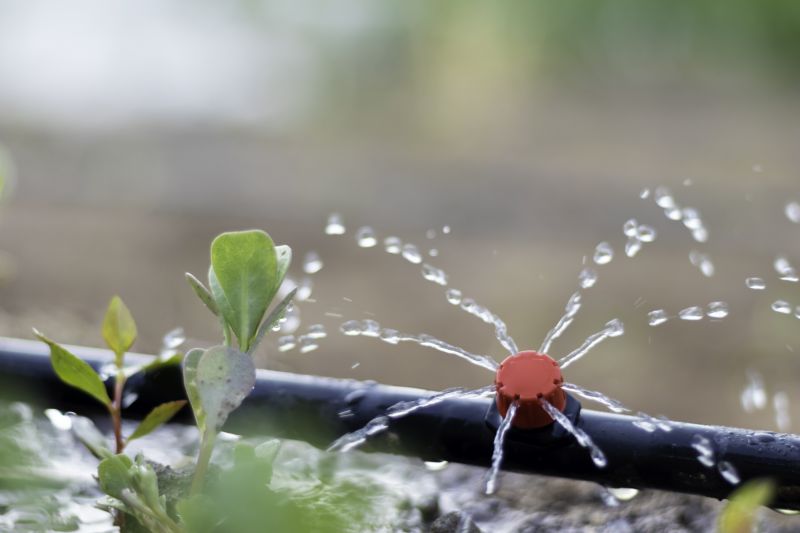 Garden Irrigation Installation in Honolulu, HI
