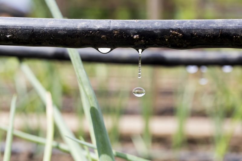 Garden Irrigation Installation in Ventura County, CA