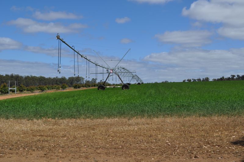 Inground Irrigation Service in Aiken, SC