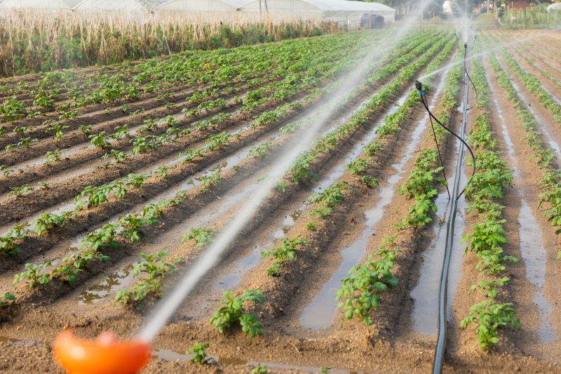 Irrigation Service in Ventura County, CA