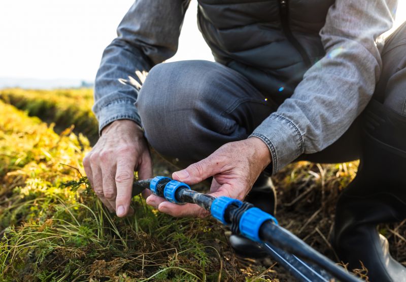 Irrigation System Repair