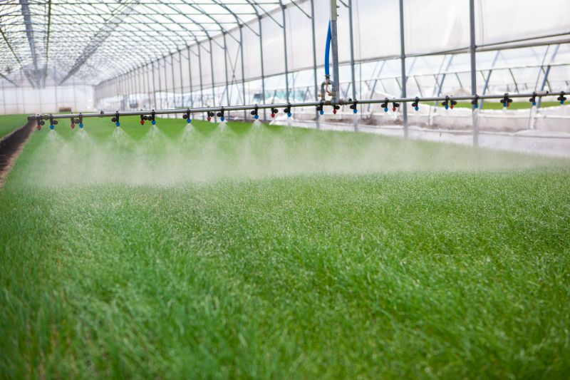 Mist Irrigation Installation in Aiken, SC