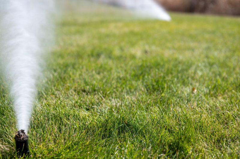 Sprinkler Blowout Service in Reno, NV