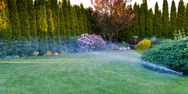 Sprinkler Winterization in Carson City, NV